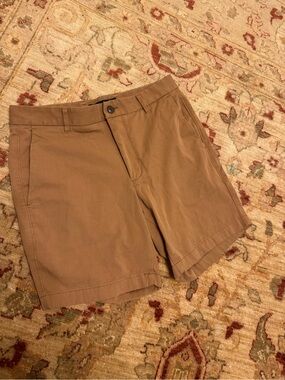 Everlane Tan Slim-Fit Chino Shorts
